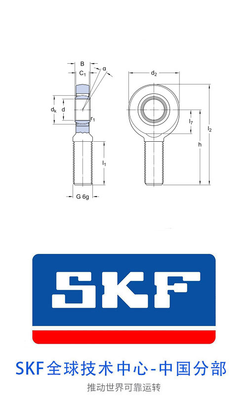 SILKB 20 F
